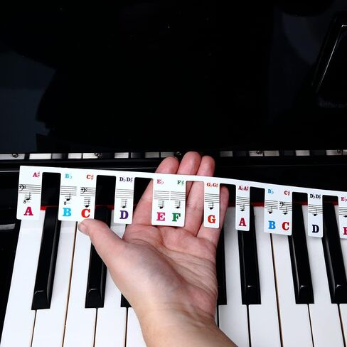 Piano Keyboard Stickers, Full-Size Piano Rake Key Labels Overlay Removable for Beginners Kids (61 Full Keys) in Saudi Arabia