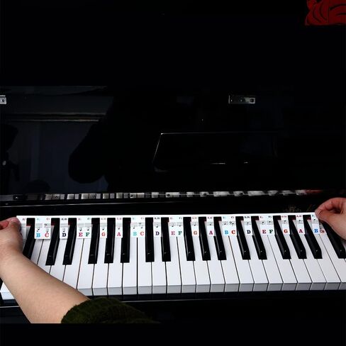 Piano Keyboard Stickers, Full-Size Piano Rake Key Labels Overlay Removable for Beginners Kids (61 Full Keys) in Saudi Arabia