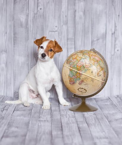 Replogle Globes Franklin World Globe، محيط عتيق، قطر 30.48 سم، أكثر من 4000 اسم مكان in Kuwait