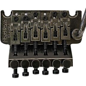 Floyd Rose FRTS2000R Special Relic Tremolo System - Black