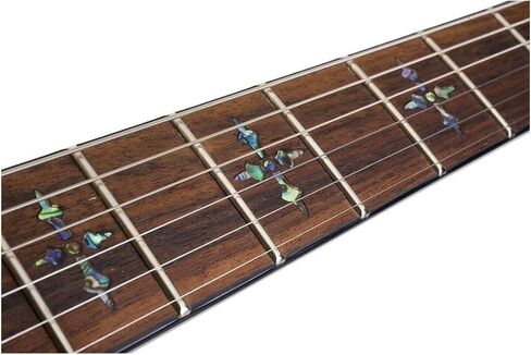 Schecter Hellraiser C-1 - Black Cherry in Kuwait