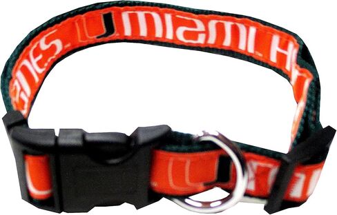 Pets First Collegiate Pet Accessories, Dog Collar, Florida Gators, Small in Saudi Arabia