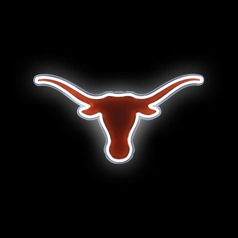 FOCO Nebraska Cornhuskers NCAA Team Logo LED Neon Light Up Sign in Saudi Arabia