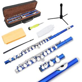 EastRock Closed Hole Flutes C 16 Key for Beginner, Kids, Student -Nickel Flute with Case Stand and Cleaning kit (Sea Blue)
