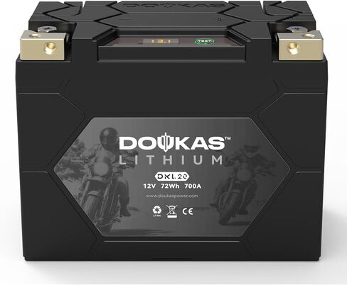 DKL30 800A LiFePO4 Motorcycle Lithium Battery, 12V 8Ah Powersports Battery, Compatible Jet Ski, Quad, Lawn Mower, ATV, UTV, Scooter, Generator Battery, Snowmobile in Saudi Arabia