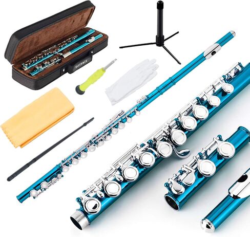 EastRock Closed Hole Flutes C 16 Key for Beginner, Kids, Student -Nickel Flute with Case Stand and Cleaning kit (Sea Blue) in Saudi Arabia
