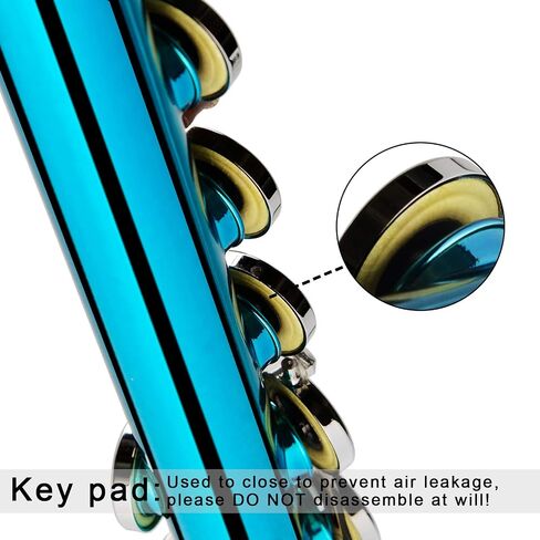 EastRock Closed Hole Flutes C 16 Key for Beginner, Kids, Student -Nickel Flute with Case Stand and Cleaning kit (Sea Blue) in Saudi Arabia