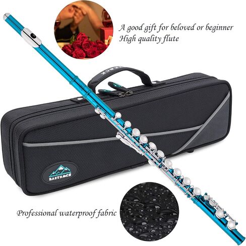 EastRock Closed Hole Flutes C 16 Key for Beginner, Kids, Student -Nickel Flute with Case Stand and Cleaning kit (Sea Blue) in Saudi Arabia