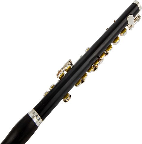 APE-16 Piccolo Flute with Case, Silver Keys (ebony) in Saudi Arabia