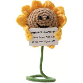 Positive Crochet Succulent Handcrafed Emotional Support Poted Plant Creative Knitting Dolls with Positive Affirmation Card Ideal Gifts for Room Decor Car Home Office