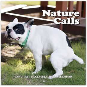 2025 Calendar - 2025 Wall Calendar, Pi-d-off Cats Calendar 2025, Jan. 2025 - Dec. 2025, 9.64" x 19.3" 2025 wall Calendar (open), Funny Calendar, Calendars with Unruled Blocks, Everyday Holidays - Funny Cats