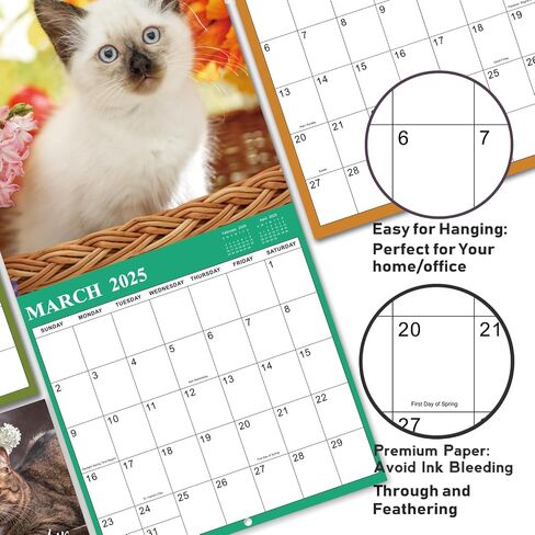 2025 Calendar - 2025 Wall Calendar, Pi-d-off Cats Calendar 2025, Jan. 2025 - Dec. 2025, 9.64" x 19.3" 2025 wall Calendar (open), Funny Calendar, Calendars with Unruled Blocks, Everyday Holidays - Funny Cats in Saudi Arabia