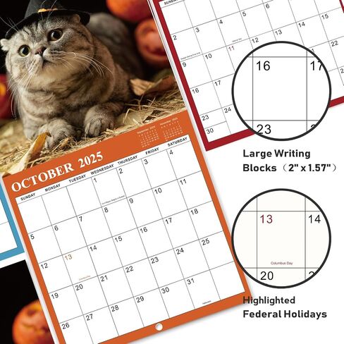 2025 Calendar - 2025 Wall Calendar, Pi-d-off Cats Calendar 2025, Jan. 2025 - Dec. 2025, 9.64" x 19.3" 2025 wall Calendar (open), Funny Calendar, Calendars with Unruled Blocks, Everyday Holidays - Funny Cats in Saudi Arabia