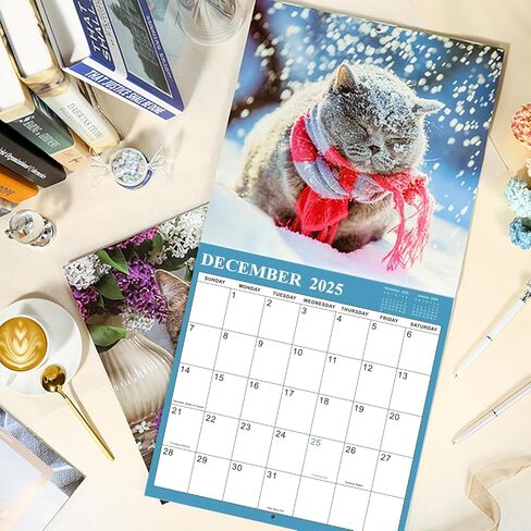 2025 Calendar - 2025 Wall Calendar, Pi-d-off Cats Calendar 2025, Jan. 2025 - Dec. 2025, 9.64" x 19.3" 2025 wall Calendar (open), Funny Calendar, Calendars with Unruled Blocks, Everyday Holidays - Funny Cats in Saudi Arabia