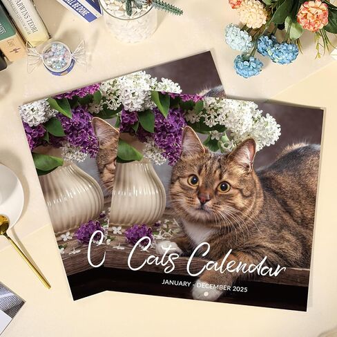 2025 Calendar - 2025 Wall Calendar, Pi-d-off Cats Calendar 2025, Jan. 2025 - Dec. 2025, 9.64" x 19.3" 2025 wall Calendar (open), Funny Calendar, Calendars with Unruled Blocks, Everyday Holidays - Funny Cats in Saudi Arabia