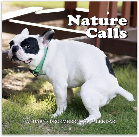 2025 Calendar - 2025 Wall Calendar, Pi-d-off Cats Calendar 2025, Jan. 2025 - Dec. 2025, 9.64" x 19.3" 2025 wall Calendar (open), Funny Calendar, Calendars with Unruled Blocks, Everyday Holidays - Funny Cats in Saudi Arabia