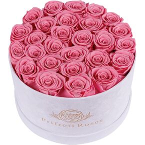 Forever Real Roses in Suede Box - 27-Piece Roses in a Luxury Box - Real Preserved Roses That Last Over a Year - Valentines Day Flowers for Delivery Prime - Mothers Day, Christmas, Birthday (Champagne)