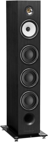 مكبر صوت قائم على الأرض من Triangle Esprit Australe Ez Hi-Fi (رمادي أسود) in Kuwait