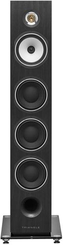 مكبر صوت قائم على الأرض من Triangle Esprit Australe Ez Hi-Fi (رمادي أسود) in Kuwait