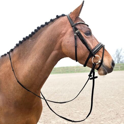 HORZE Lester Dressage Snaffle Bridle w/Reins in Saudi Arabia