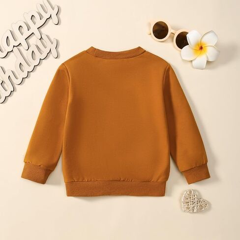 Baby Girl First Birthday Outfit 1st Birthday Sweatshirt in My One Year Old Era Pullover Top in Saudi Arabia