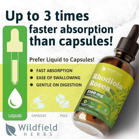 2 Echinacea Root Drops Tincture Extract 2440mg (Echinacea purpurea) Herbal Supplement Absorbs Better Than Capsules, 2 Month Supply, 84 Servings, Alcohol-Free Tincture - 2 Oz, Pack of 2 in Saudi Arabia