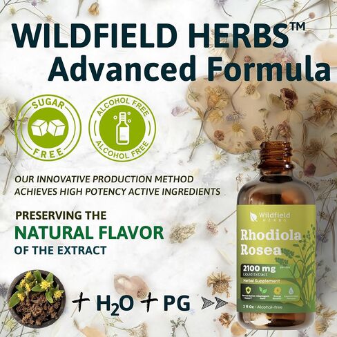 2 Echinacea Root Drops Tincture Extract 2440mg (Echinacea purpurea) Herbal Supplement Absorbs Better Than Capsules, 2 Month Supply, 84 Servings, Alcohol-Free Tincture - 2 Oz, Pack of 2 in Saudi Arabia