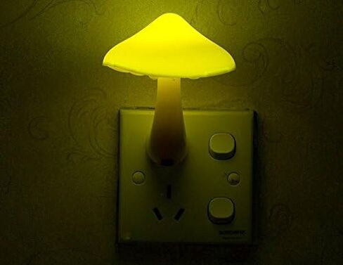 AUSAYE 2Pack Mushroom Night Light Plug in Lamp,Led Lights for Adults Kids Baby Children NightLight Wall Decor Lamp Bedroom Bathroom,Toilet,Stairs,Kitchen,Hallway in Kuwait