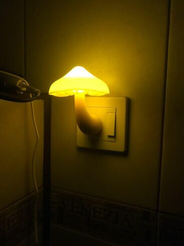 AUSAYE 2Pack Mushroom Night Light Plug in Lamp,Led Lights for Adults Kids Baby Children NightLight Wall Decor Lamp Bedroom Bathroom,Toilet,Stairs,Kitchen,Hallway in Kuwait