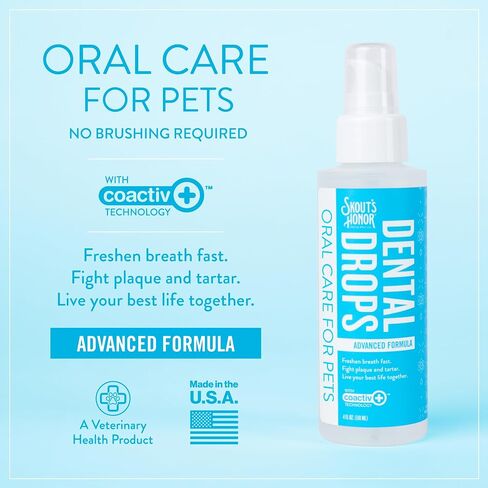 SKOUT'S HONOR: Oral Care Water Additive for Dogs & Cats - Fresh & Flavorless 32oz in Saudi Arabia