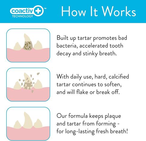 SKOUT'S HONOR: Oral Care Water Additive for Dogs & Cats - Fresh & Flavorless 32oz in Saudi Arabia
