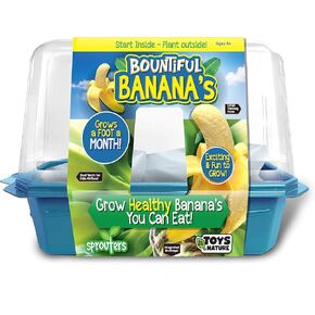 Grow Your Own Bananas - Indoor Banana Growing Kit - Cultivate Edible Mini Bananas at Home - Plants Grow up to 1 Foot per Month - Easy & Fun for All Ages