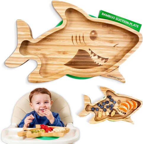 Bamboo Divided Suction Plates for Baby - Strong Suction Plates for Toddlers - Non-toxic All Natural Eco Friendly Materials - Dinosaur in Saudi Arabia