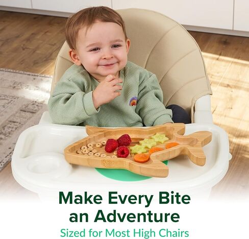 Bamboo Divided Suction Plates for Baby - Strong Suction Plates for Toddlers - Non-toxic All Natural Eco Friendly Materials - Dinosaur in Saudi Arabia
