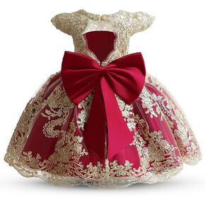 HNXDYY Baby Girl Tutu Dress Princess Lace Embroidery Wedding Party Gown