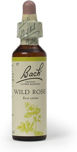 Bach Original Flower Remedy Chicory 20 ml in Saudi Arabia