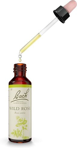 Bach Original Flower Remedy Chicory 20 ml in Saudi Arabia