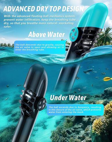 Zenoplige Full Face Snorkel Mask Adults with Camera Mount，Dry-Top Snorkeling Gear for Adults，Foldable 180-Degree Panoramic Anti-Fog Scuba Mask for Snorkeling Diving Swimming Travel (S+S) in Saudi Arabia