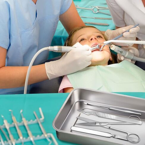 Fabbay 4 صواني جراحية طبية 201 من الفولاذ المقاوم للصدأ لأدوات طب الأسنان حامل منظم علبة معدنية معقمة مع غطاء ومقبض لأدوات طب الأسنان الجراحية الطبية (9 بوصة) in Saudi Arabia