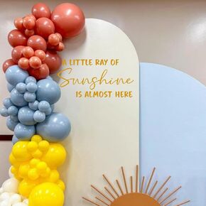 A Little Dumpling is On The Way Baby Shower Party Decal Sign - Gender Reveal Sign Decal, Food Theme Baby Shower Decorations for Party, Balloon Arch, Backdrop...