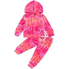 Kids Toddler Baby Girl Boy Dinosaur Outfit Hoodie Sweatshirt Top and Pants 2Pcs Clothes Set Sweatsuits Tracksuit in Kuwait
