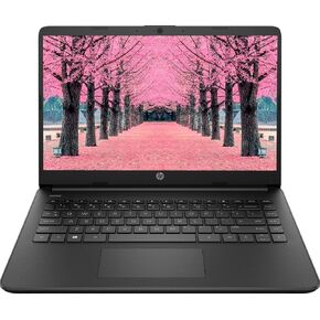 HP 2024 Premium 13.8" IPS Touchscreen Laptop, Ryzen 3-5300U Processor Up to 3.80GHz, 8GB Ram, 256GB SSD, Super-Fast WiFi, HDMI, Webcam, Window 11, Coal Black (Renewed)