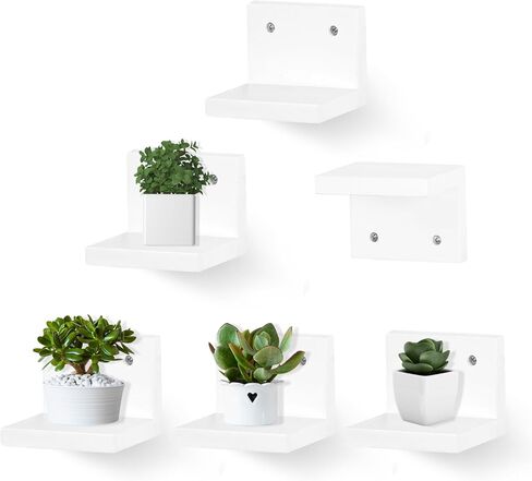 Small Floating Shelf for Wall Set of 6,Mini Shelves for Display Small Figurine,Plant,Collectibles,Small Wall Shelves for Bedroom Living Room Bathroom Kitchen Decor（Black） in Saudi Arabia