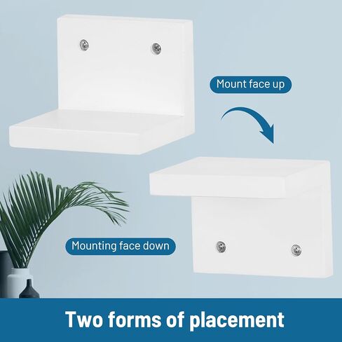 Small Floating Shelf for Wall Set of 6,Mini Shelves for Display Small Figurine,Plant,Collectibles,Small Wall Shelves for Bedroom Living Room Bathroom Kitchen Decor（Black） in Saudi Arabia