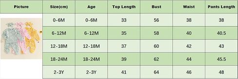 Infant Baby Girl Clothes Outfits Ruffle Long Sleeve Floral Pullover Sweatshirt Pant Set Toddler Fall Winter Set in Saudi Arabia