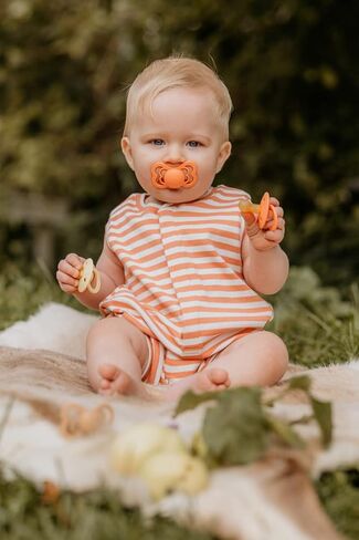 لهايات BIBS - مجموعة الأزياء الراقية | لهاية أطفال خالية من مادة BPA | صنع في الدنمارك | مجموعة من 2 لهايات فاخرة بلون البلوط الداكن | الحجم 6-18 شهرا in Kuwait