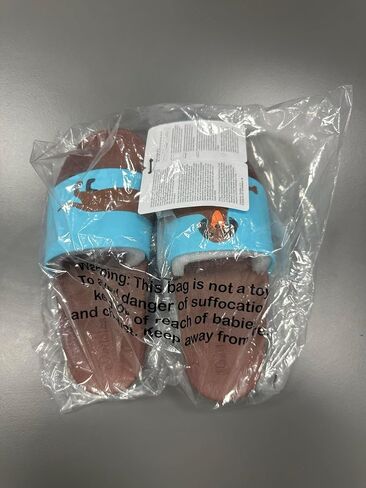 Slides for Women, Men & Kids Pool Sandals Funny Designs Books Coffee Party Pizza Fox Bear Llama Clouds Footwear Gift, Color: XL Wiener Dog, 6 US in Saudi Arabia