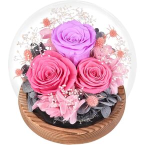 Forever Real Roses Preserved Flowers - 12 Pieces Red Roses in White Box - Eternal Flower Bouquet for Delivery Prime Her Birthday Anniversary