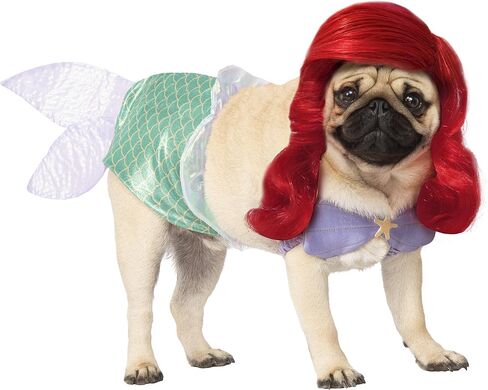 Rubie's Disney: Princess Pet Costume, Belle, Medium, 200171_M in Saudi Arabia