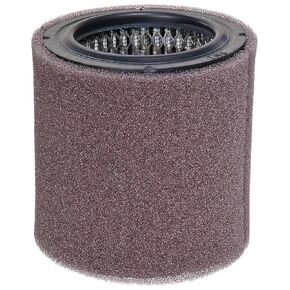 Solberg 19P™ Polyester Filter Cartridge with Prefilter for Compressor, 4-3/4" Height, 3" Inner Diameter, 4-3/8" Outer Diameter, 100 SCFM, Made in the USA